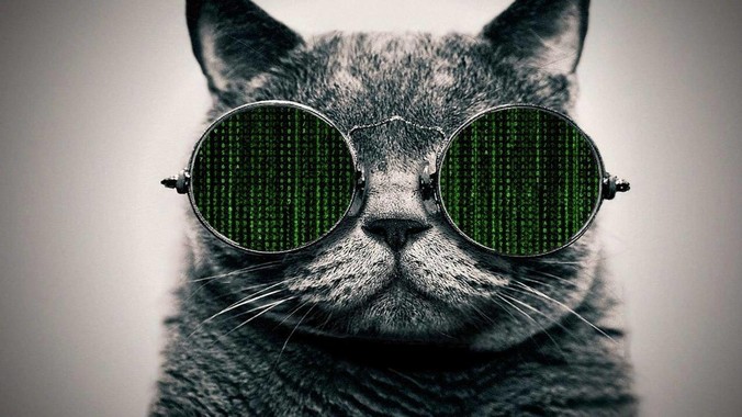 MySQL 面试一般常问问题有哪些？
